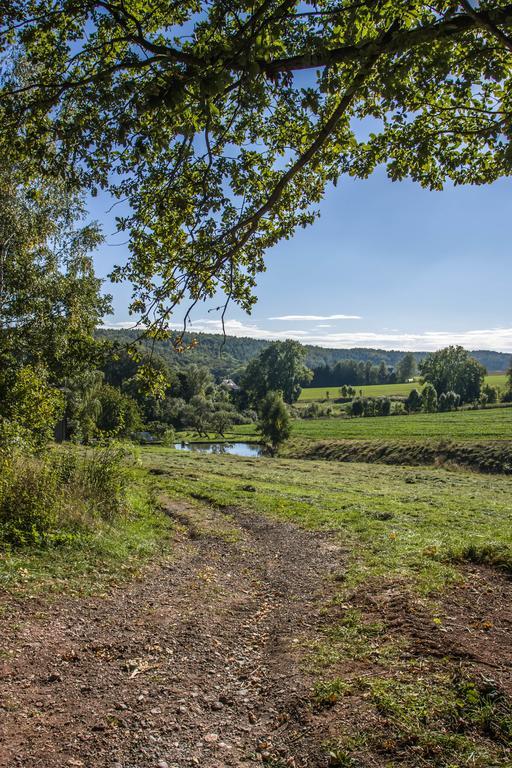 Landhotel Gutshof Hartenstein  الغرفة الصورة