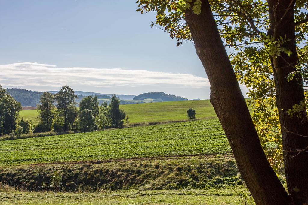 Landhotel Gutshof Hartenstein  الغرفة الصورة